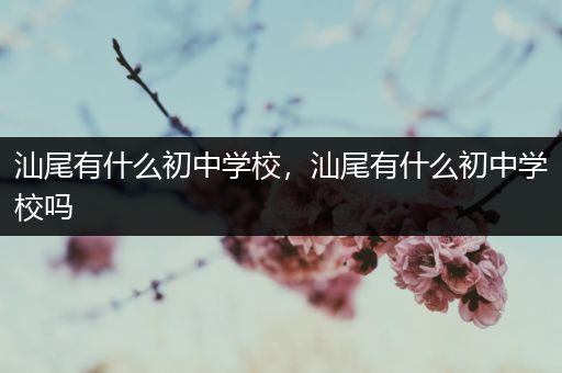 汕尾有什么初中学校，汕尾有什么初中学校吗