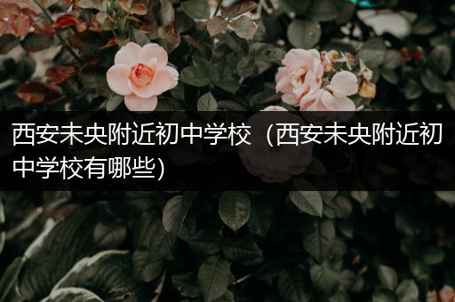 西安未央附近初中学校（西安未央附近初中学校有哪些）