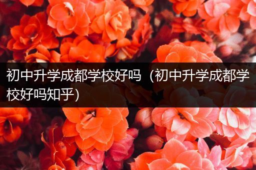 初中升学成都学校好吗（初中升学成都学校好吗知乎）