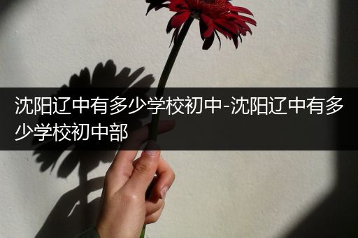 沈阳辽中有多少学校初中-沈阳辽中有多少学校初中部