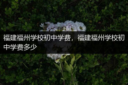 福建福州学校初中学费，福建福州学校初中学费多少