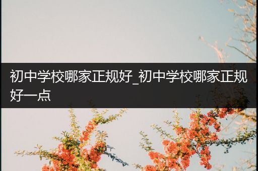 初中学校哪家正规好_初中学校哪家正规好一点