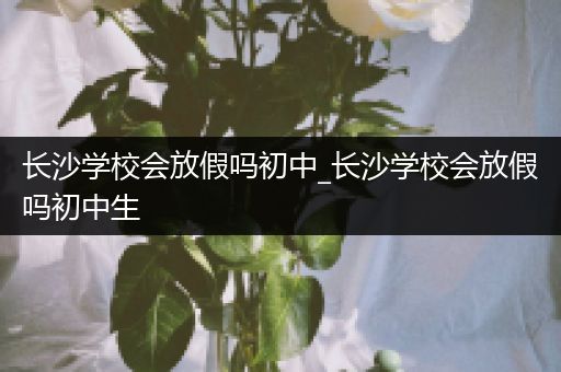 长沙学校会放假吗初中_长沙学校会放假吗初中生