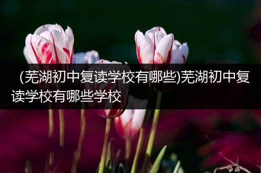 （芜湖初中复读学校有哪些)芜湖初中复读学校有哪些学校