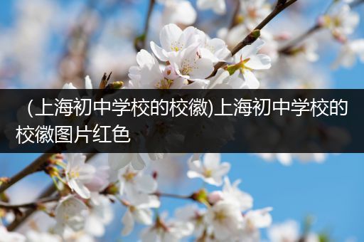 （上海初中学校的校徽)上海初中学校的校徽图片红色