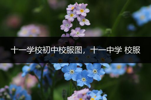 十一学校初中校服图，十一中学 校服