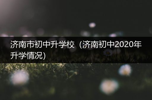 济南市初中升学校（济南初中2020年升学情况）