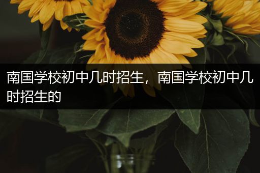 南国学校初中几时招生，南国学校初中几时招生的