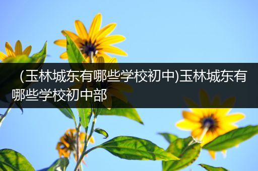 （玉林城东有哪些学校初中)玉林城东有哪些学校初中部