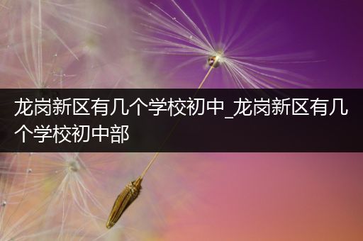 龙岗新区有几个学校初中_龙岗新区有几个学校初中部