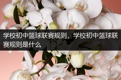 学校初中篮球联赛规则，学校初中篮球联赛规则是什么