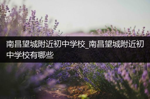 南昌望城附近初中学校_南昌望城附近初中学校有哪些