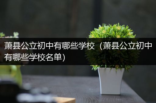 萧县公立初中有哪些学校（萧县公立初中有哪些学校名单）