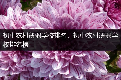 初中农村薄弱学校排名，初中农村薄弱学校排名榜