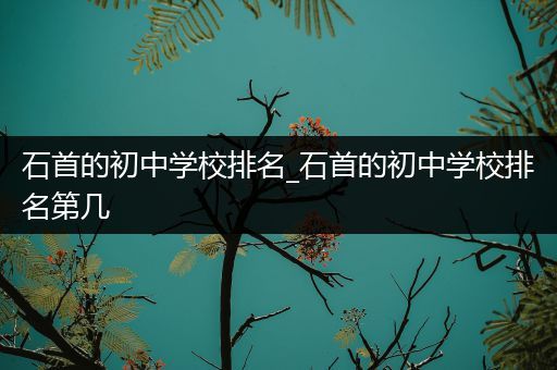 石首的初中学校排名_石首的初中学校排名第几
