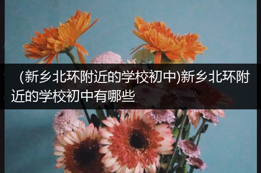 （新乡北环附近的学校初中)新乡北环附近的学校初中有哪些