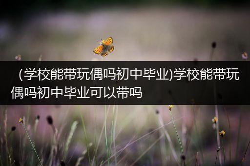（学校能带玩偶吗初中毕业)学校能带玩偶吗初中毕业可以带吗