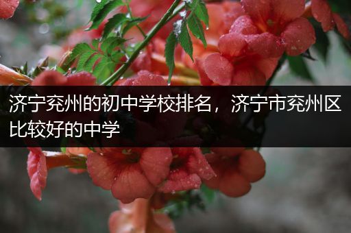 济宁兖州的初中学校排名，济宁市兖州区比较好的中学