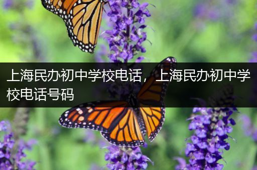 上海民办初中学校电话，上海民办初中学校电话号码