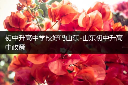 初中升高中学校好吗山东-山东初中升高中政策