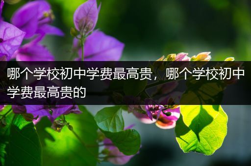 哪个学校初中学费最高贵，哪个学校初中学费最高贵的