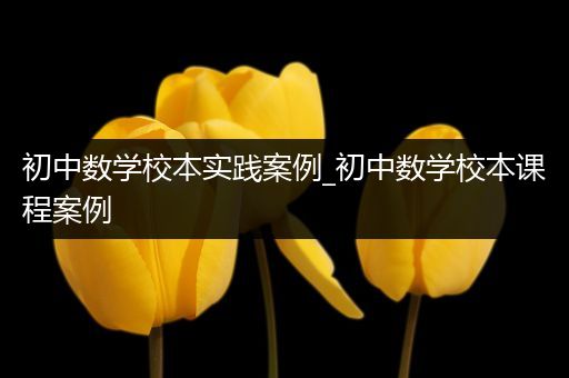 初中数学校本实践案例_初中数学校本课程案例