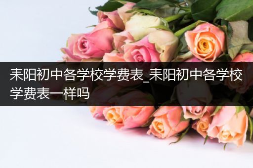 耒阳初中各学校学费表_耒阳初中各学校学费表一样吗