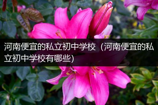 河南便宜的私立初中学校（河南便宜的私立初中学校有哪些）