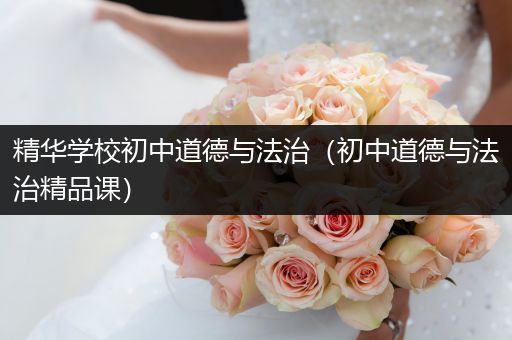 精华学校初中道德与法治（初中道德与法治精品课）
