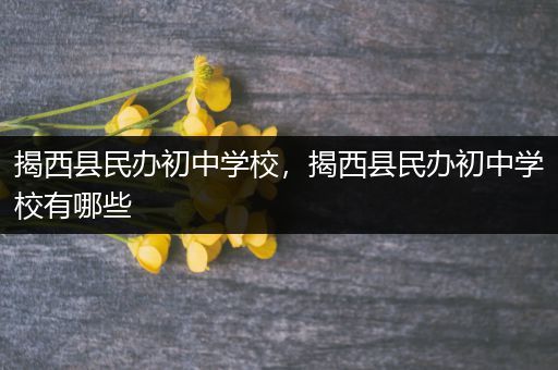 揭西县民办初中学校，揭西县民办初中学校有哪些