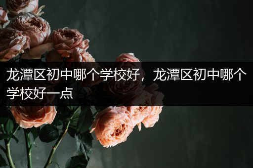 龙潭区初中哪个学校好，龙潭区初中哪个学校好一点