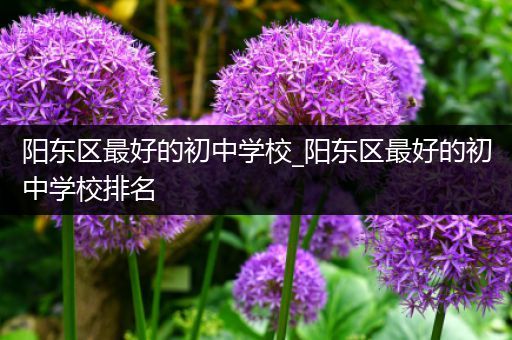 阳东区最好的初中学校_阳东区最好的初中学校排名