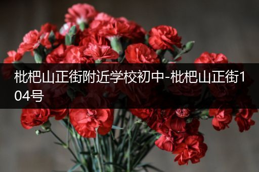 枇杷山正街附近学校初中-枇杷山正街104号