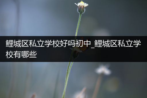鲤城区私立学校好吗初中_鲤城区私立学校有哪些