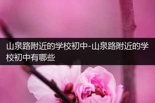 山泉路附近的学校初中-山泉路附近的学校初中有哪些