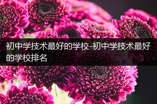 初中学技术最好的学校-初中学技术最好的学校排名