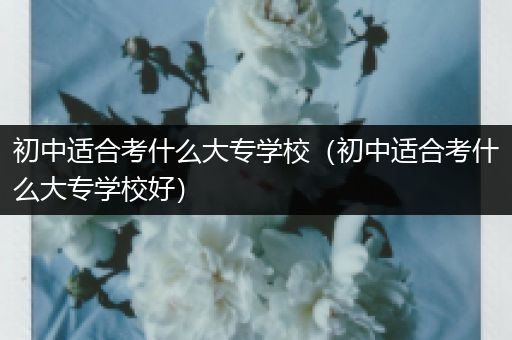 初中适合考什么大专学校（初中适合考什么大专学校好）