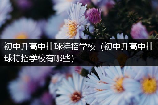 初中升高中排球特招学校（初中升高中排球特招学校有哪些）