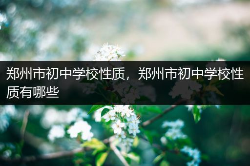 郑州市初中学校性质，郑州市初中学校性质有哪些