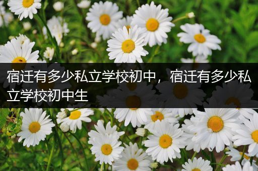 宿迁有多少私立学校初中，宿迁有多少私立学校初中生