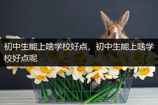 初中生能上啥学校好点，初中生能上啥学校好点呢