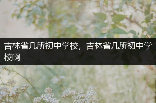 吉林省几所初中学校，吉林省几所初中学校啊