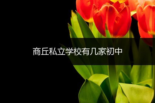 商丘私立学校有几家初中