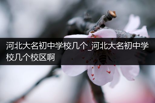河北大名初中学校几个_河北大名初中学校几个校区啊
