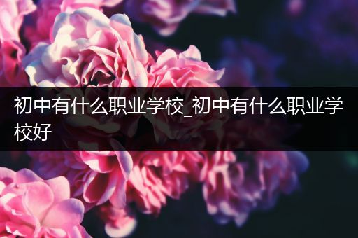 初中有什么职业学校_初中有什么职业学校好