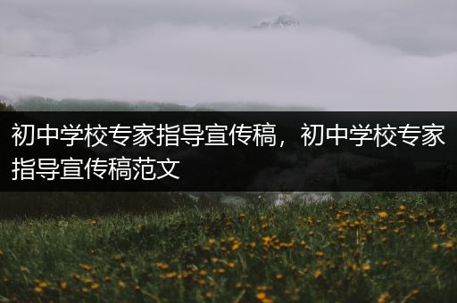 初中学校专家指导宣传稿，初中学校专家指导宣传稿范文