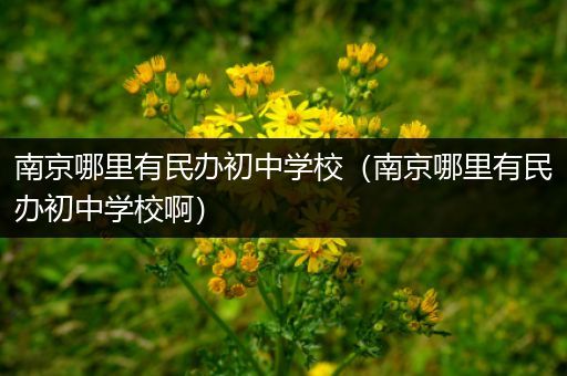 南京哪里有民办初中学校（南京哪里有民办初中学校啊）