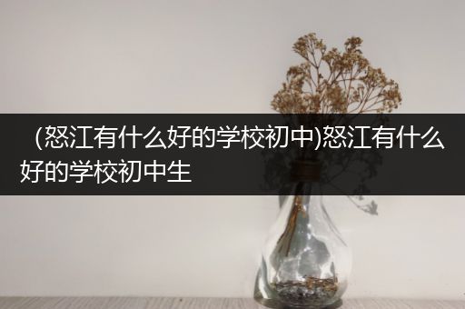 （怒江有什么好的学校初中)怒江有什么好的学校初中生