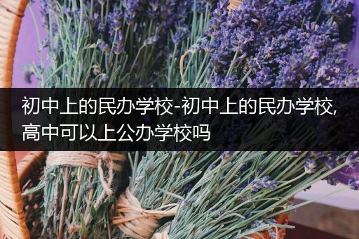 初中上的民办学校-初中上的民办学校,高中可以上公办学校吗