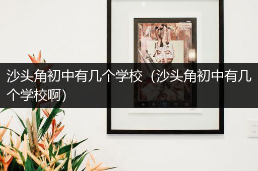 沙头角初中有几个学校（沙头角初中有几个学校啊）